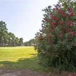 Aroeira - Nature, & Golf, By Timecooler 아파트 *