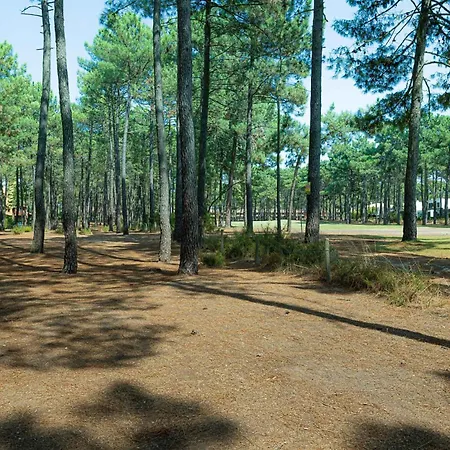 Aroeira - Nature, & Golf, By Timecooler